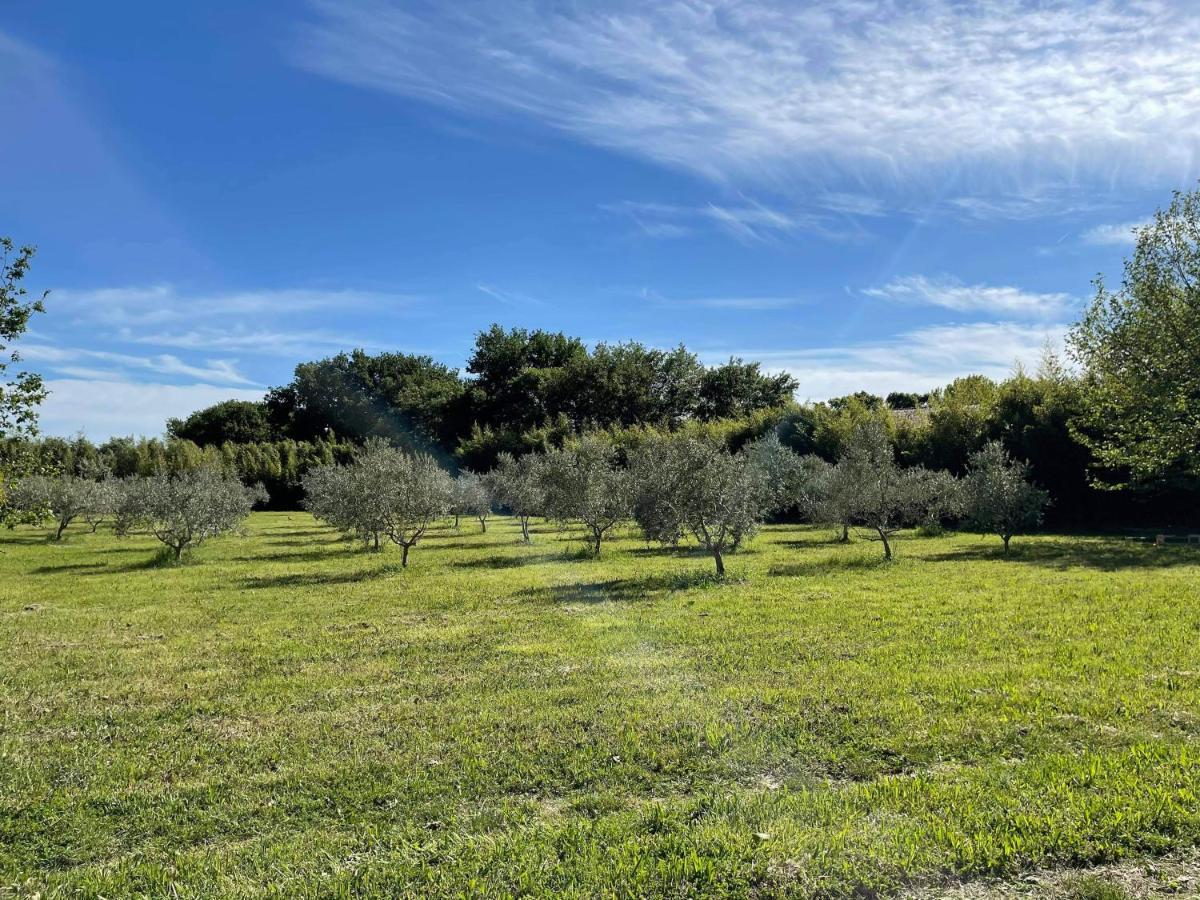 Appartement De Charme Sud Luberon Classe 4 Etoiles Puyvert Экстерьер фото